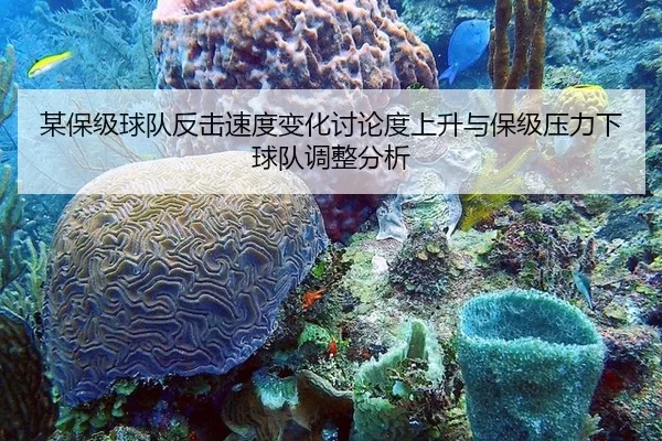 某保级球队反击速度变化讨论度上升与保级压力下球队调整分析